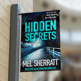 Hidden Secrets is out today – Allie Shenton tackles her next murder investigation